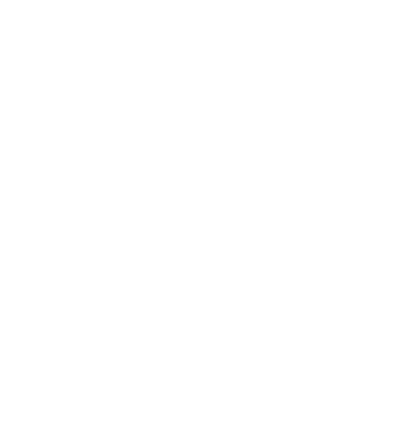 Логотип Академии Стратег